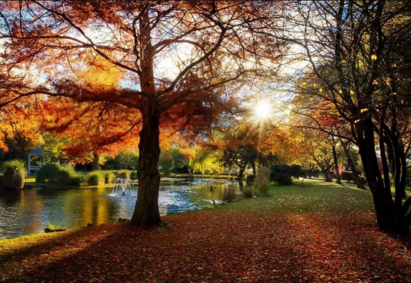 新西兰03_meitu_3.jpg 新西兰03_meitu_3.jpg